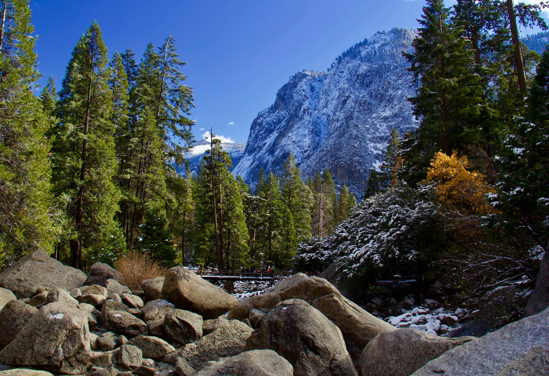 Yosemite Adventure: Day Tripping from San Francisco